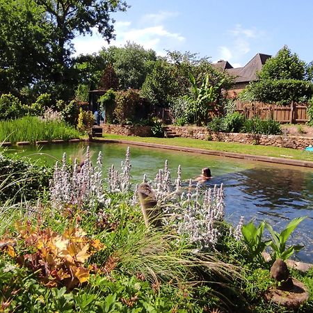 Maison De Charme, Piscine Naturelle Dordogne Perigord Prats-du-Périgord Zewnętrze zdjęcie