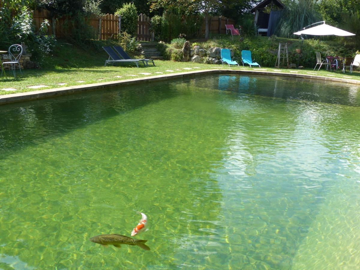Maison De Charme, Piscine Naturelle Dordogne Perigord Prats-du-Périgord Zewnętrze zdjęcie